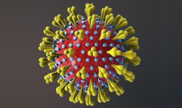 Coronavirus – was wir jetzt tun müssen.
